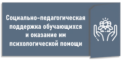 Социально-педагогическая поддержка обучающихся